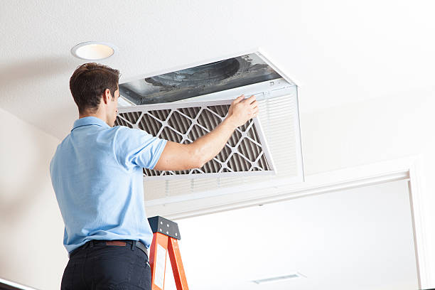 Best Air quality test  in Seth Ward, TX